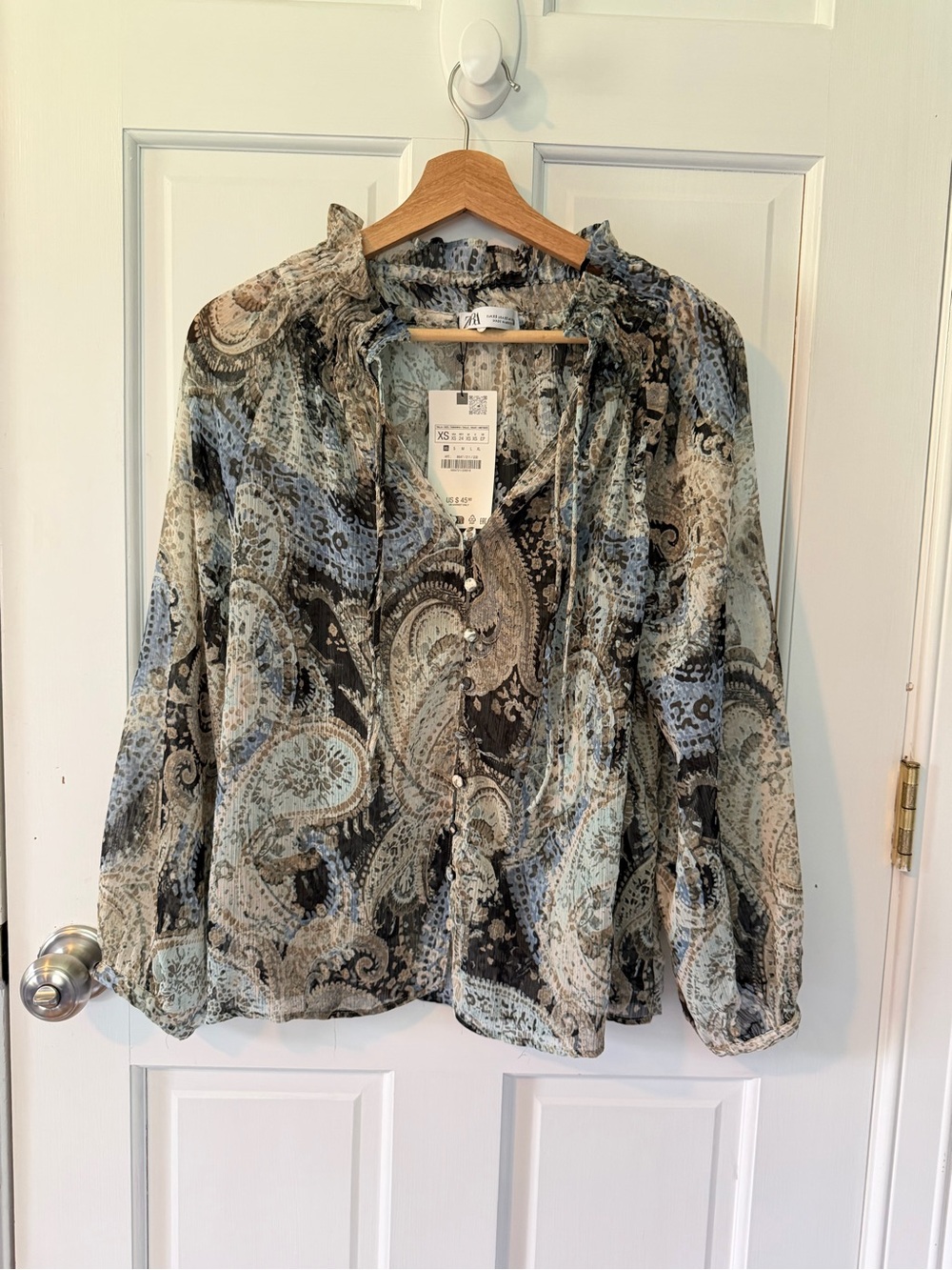 Zara Sheer Paisley Button-Front Blouse in Blue and Gray